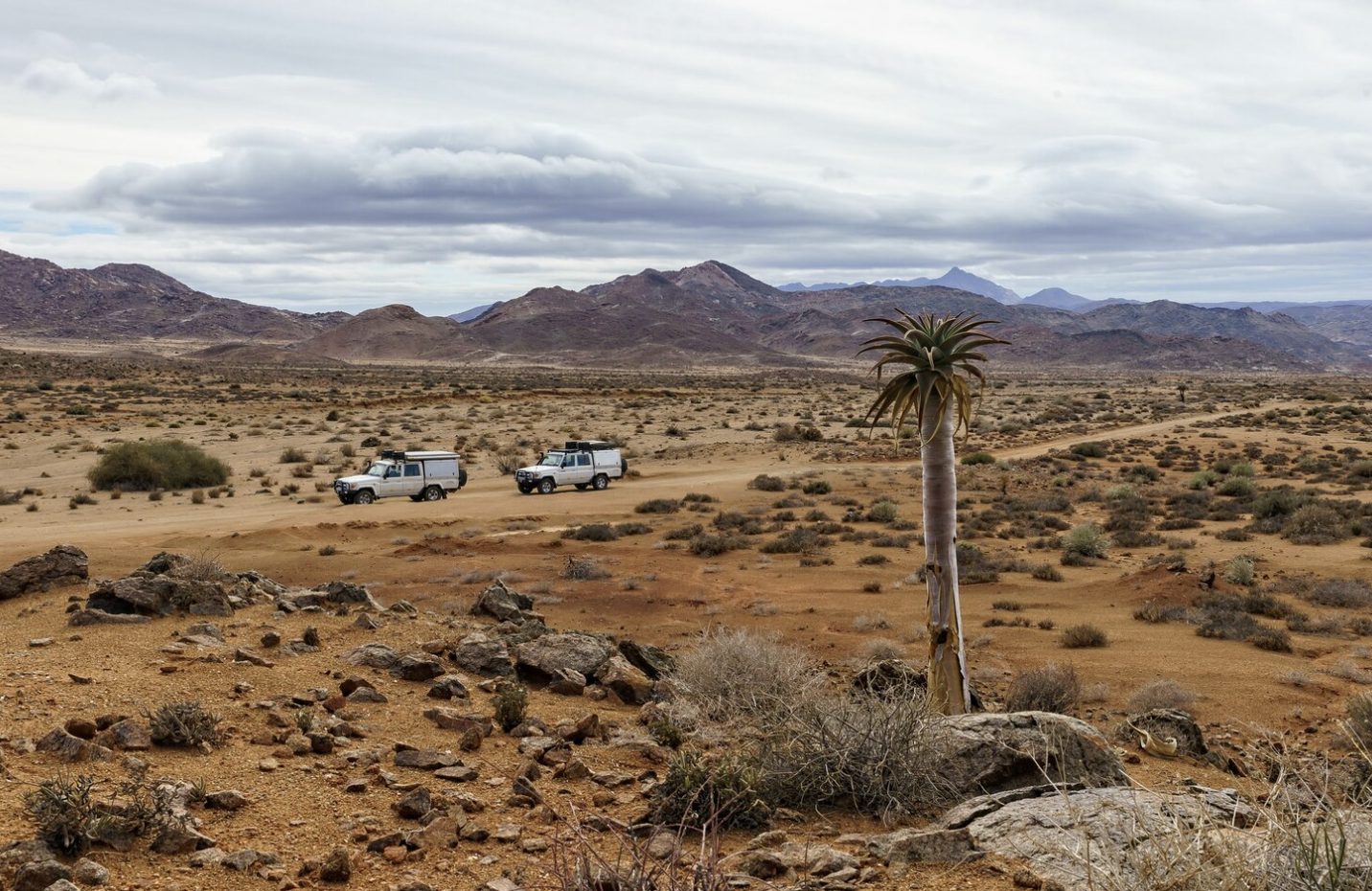 Off-Roading Locations in the U.S.
