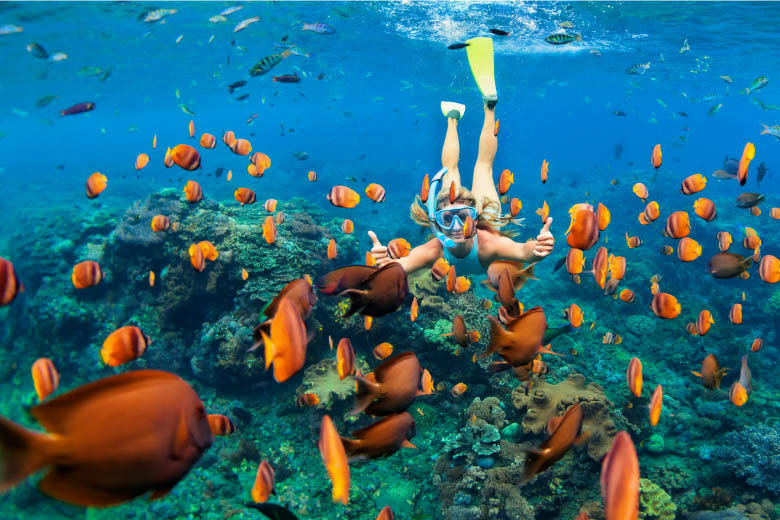 7 Beautiful Destinations With the Best Scuba Diving in the World