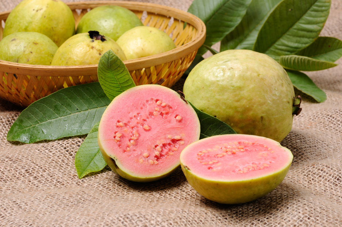 8 Benefits of Eating Guava In Winter