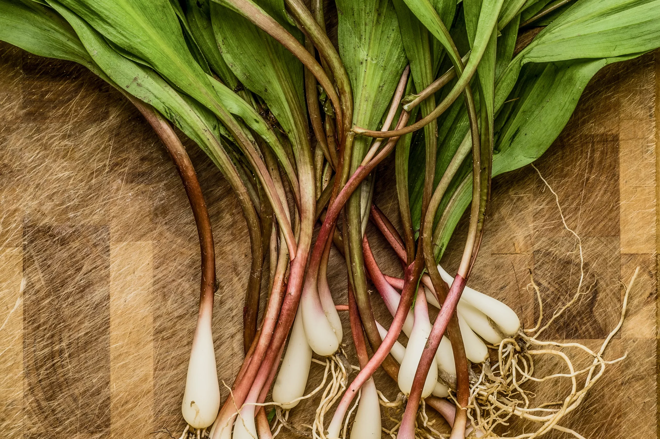 8 Perennial Vegetables That Grow Back Year After Year